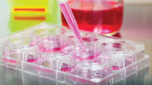 세포배양, 출처: Cell Science